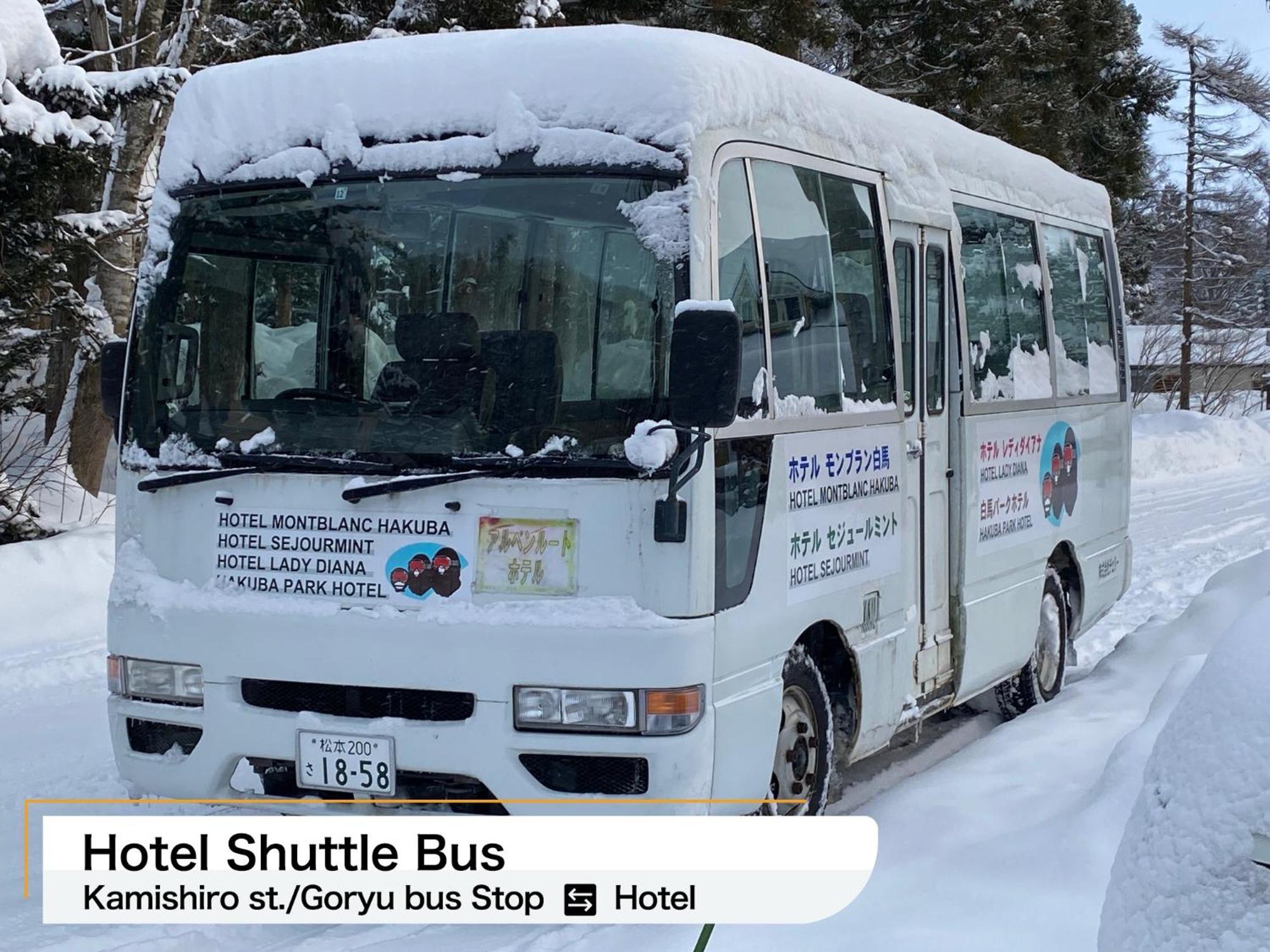 Hakuba Park Hotel Екстер'єр фото